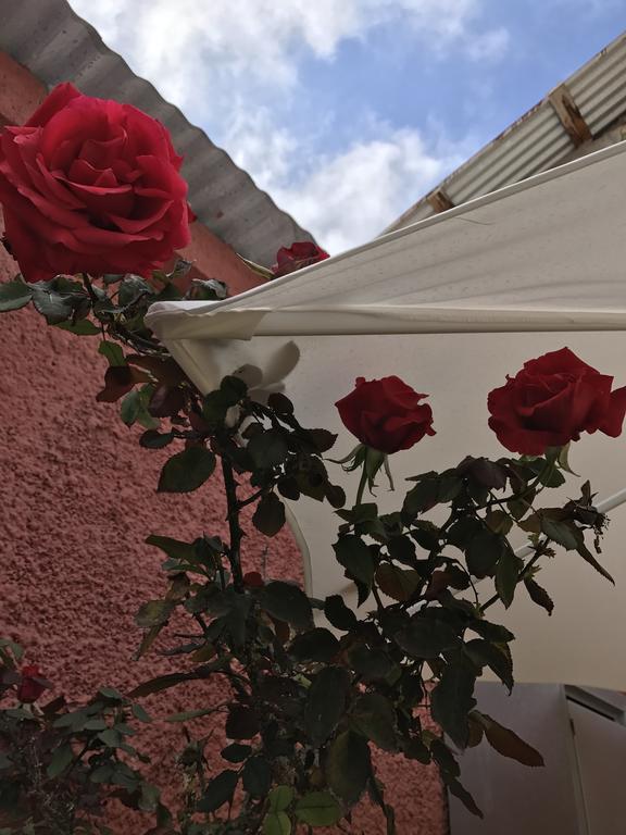 Hostal Avenue La Serena Bagian luar foto