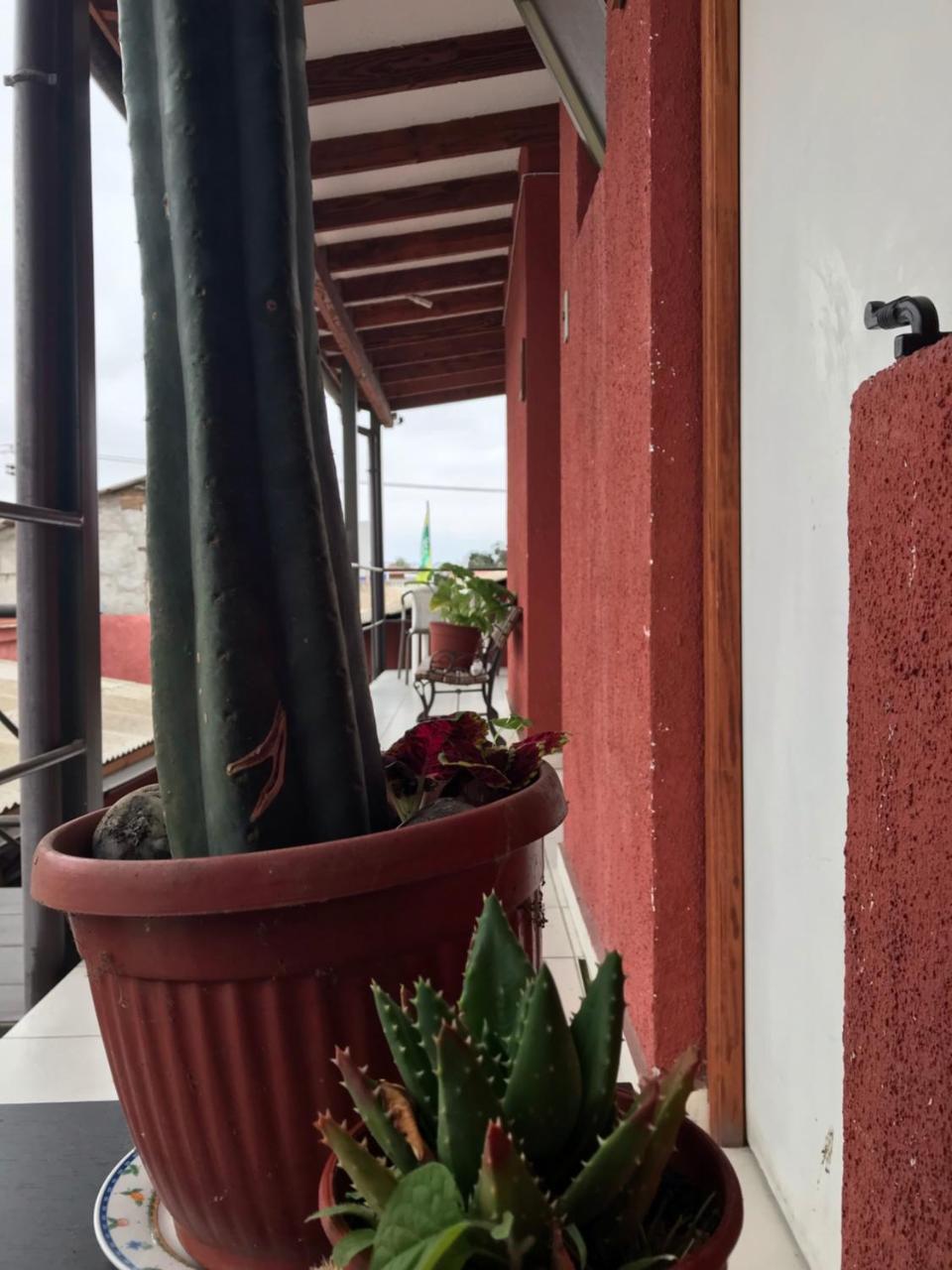 Hostal Avenue La Serena Bagian luar foto